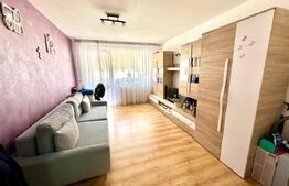 Apartament 3 camere zona Penny Ampoi