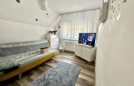 Apartament 3 camere zona Penny Ampoi