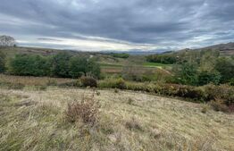 Teren Extravilan, 2800mp Perfect pentru Investitie