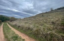 Teren Extravilan, 2800mp Perfect pentru Investitie