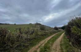 Teren de vânzare Cugir - 168024TV | BLITZ Alba Iulia | Poza1