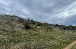 Teren Extravilan, 2800mp Perfect pentru Investitie