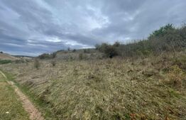 Teren Extravilan, 2800mp Perfect pentru Investitie