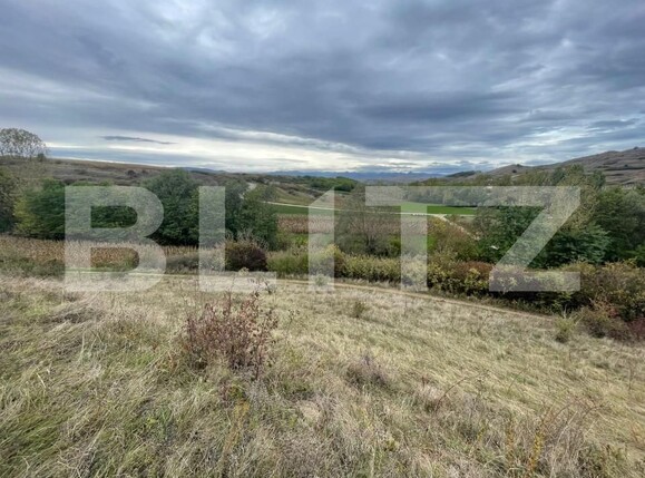 Teren de vânzare Drâmbar - 159687TV | BLITZ Alba Iulia | Poza5