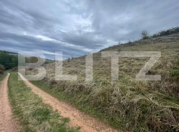 Teren de vânzare Drâmbar - 159687TV | BLITZ Alba Iulia | Poza5