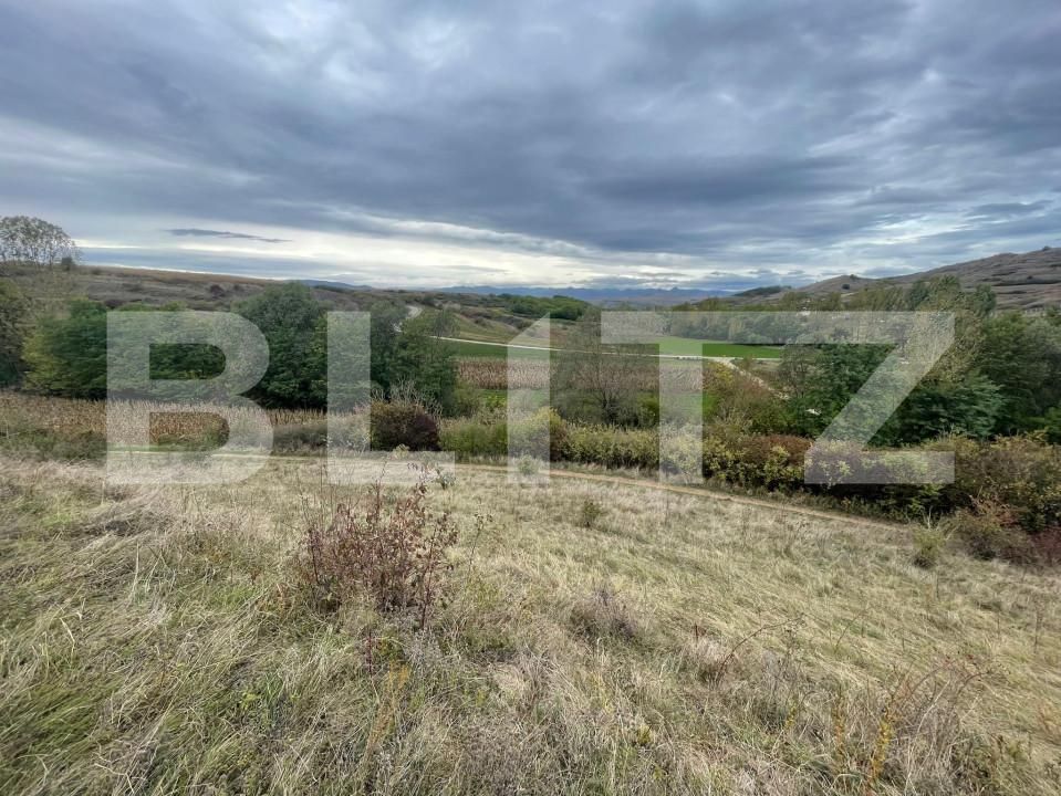 Teren de vânzare Drâmbar - 159687TV | BLITZ Alba Iulia | Poza5