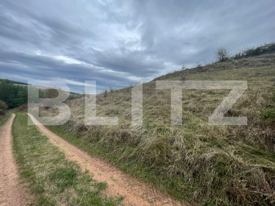 Teren de vânzare Drâmbar - 159687TV | BLITZ Alba Iulia | Poza2