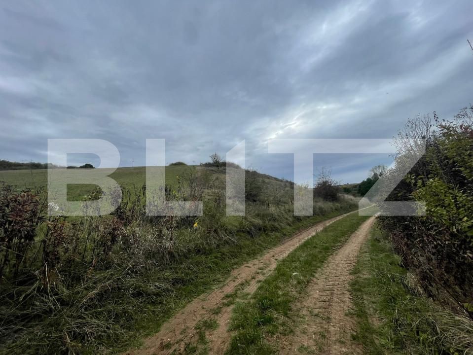 Teren de vânzare Drâmbar - 159687TV | BLITZ Alba Iulia | Poza1