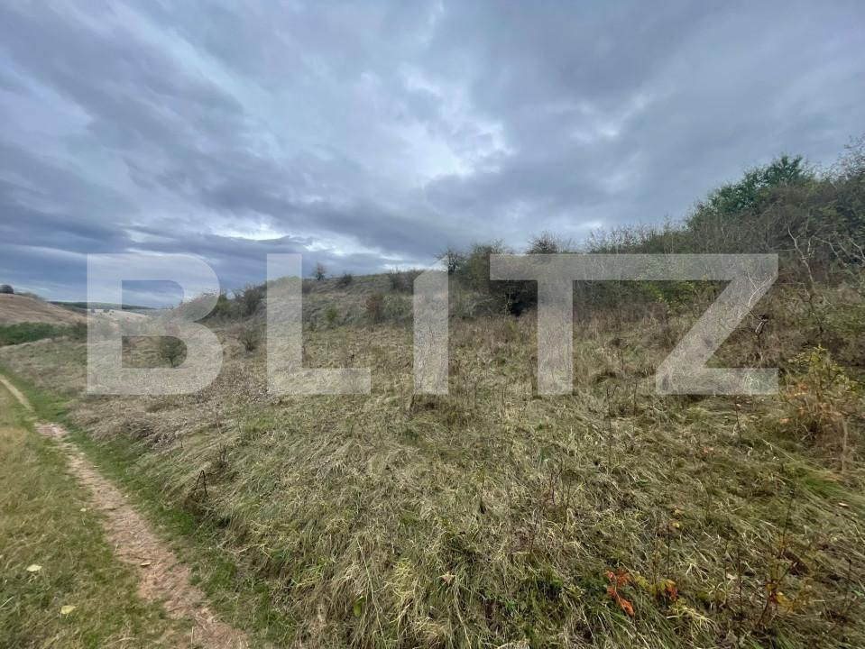 Teren de vânzare Drâmbar - 159687TV | BLITZ Alba Iulia | Poza4