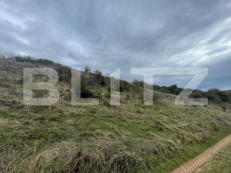 Teren de vânzare Drâmbar - 159687TV | BLITZ Alba Iulia | Poza3