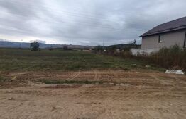 Oportunitate! Teren Intravilan de 1500 mp în Alba Iulia