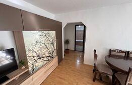 Aprtament 2 camere , zona Cetate