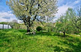 Casă Impresionantă cu Șemineu, Pavilion și Livadă în Zonă de Top