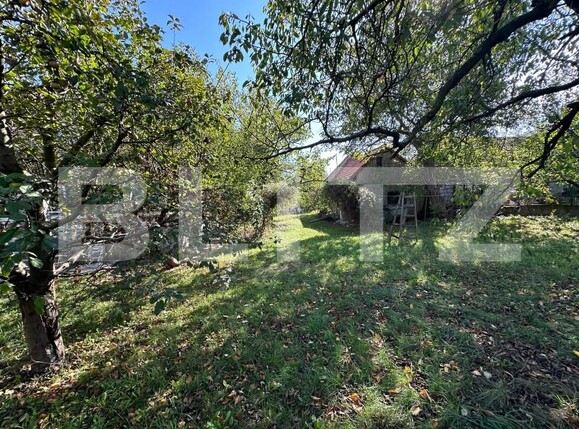 Casa de vânzare 6 camere Cetate - 159803CV | BLITZ Alba Iulia | Poza18