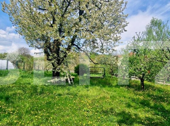 Casa de vânzare 6 camere Cetate - 159803CV | BLITZ Alba Iulia | Poza8