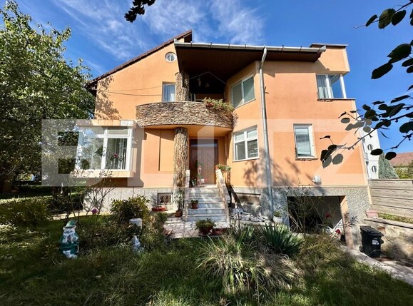Casa de vânzare 6 camere Cetate - 159803CV | BLITZ Alba Iulia | Poza9