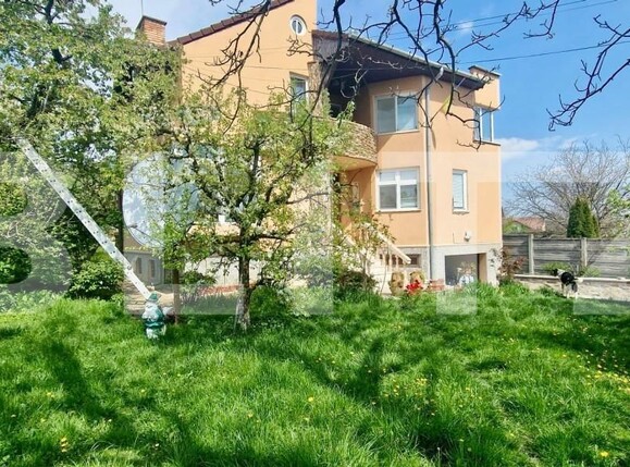 Casa de vânzare 6 camere Cetate - 159803CV | BLITZ Alba Iulia | Poza13