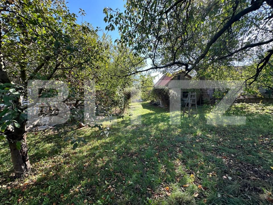 Casa de vânzare 6 camere Cetate - 159803CV | BLITZ Alba Iulia | Poza18