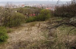 Teren Intravilan 10.046 mp, zona Cetate