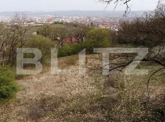 Teren de vânzare Cetate - 159888TV | BLITZ Alba Iulia | Poza1