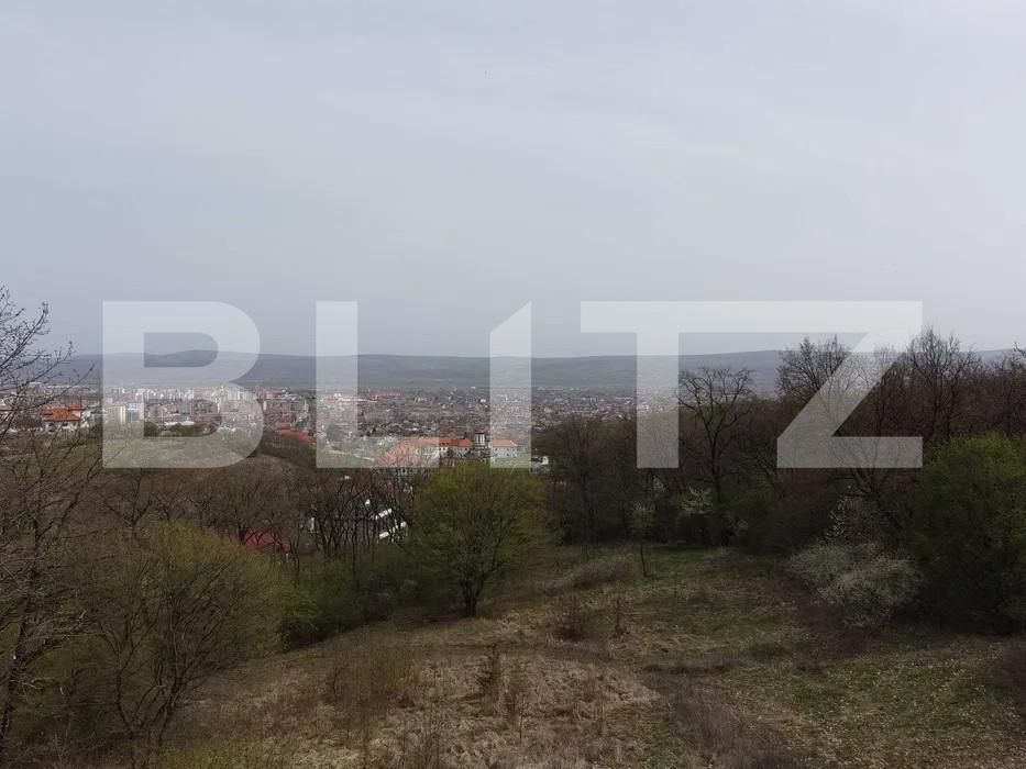 Teren de vânzare Cetate - 159888TV | BLITZ Alba Iulia | Poza3