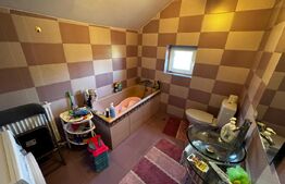 Casa individuala cu 955 mp teren, zona Centru - Alba Iulia