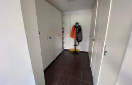 Spatiu comercial 38mp, zona Cetate