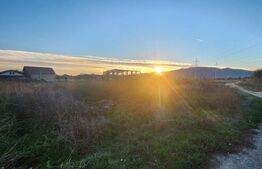 Teren extravilan, 4000 mp, zona Arex