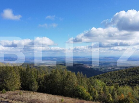 Teren de vânzare Aiud - 160185TV | BLITZ Alba Iulia | Poza2