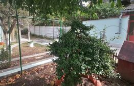 Casa 5 camere bucatarie 2 bai 369 mp teren zona Centru 