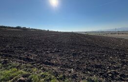 Teren 2838 mp, zona Oarda