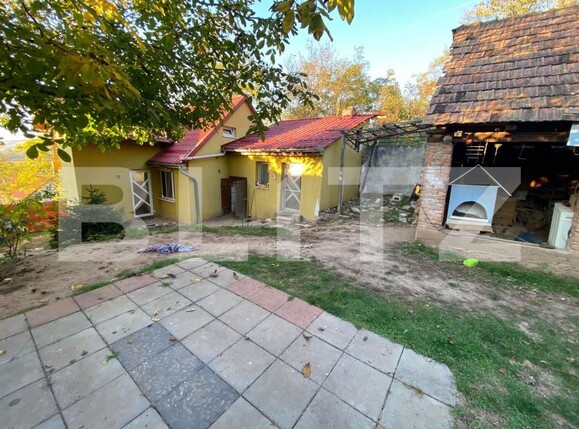 Casa de vânzare 3 camere Sud - 160505CV | BLITZ Alba Iulia | Poza2