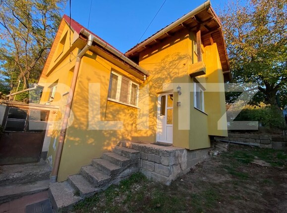 Casa de vânzare 3 camere Sud - 160505CV | BLITZ Alba Iulia | Poza1