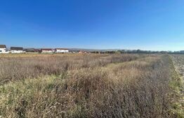 Teren Intravilan Partos