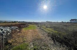 Teren Intravilan Partos