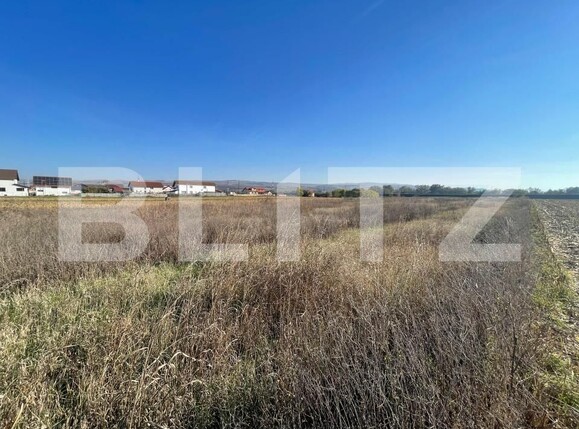 Teren de vânzare Partoș - 160563TV | BLITZ Alba Iulia | Poza3