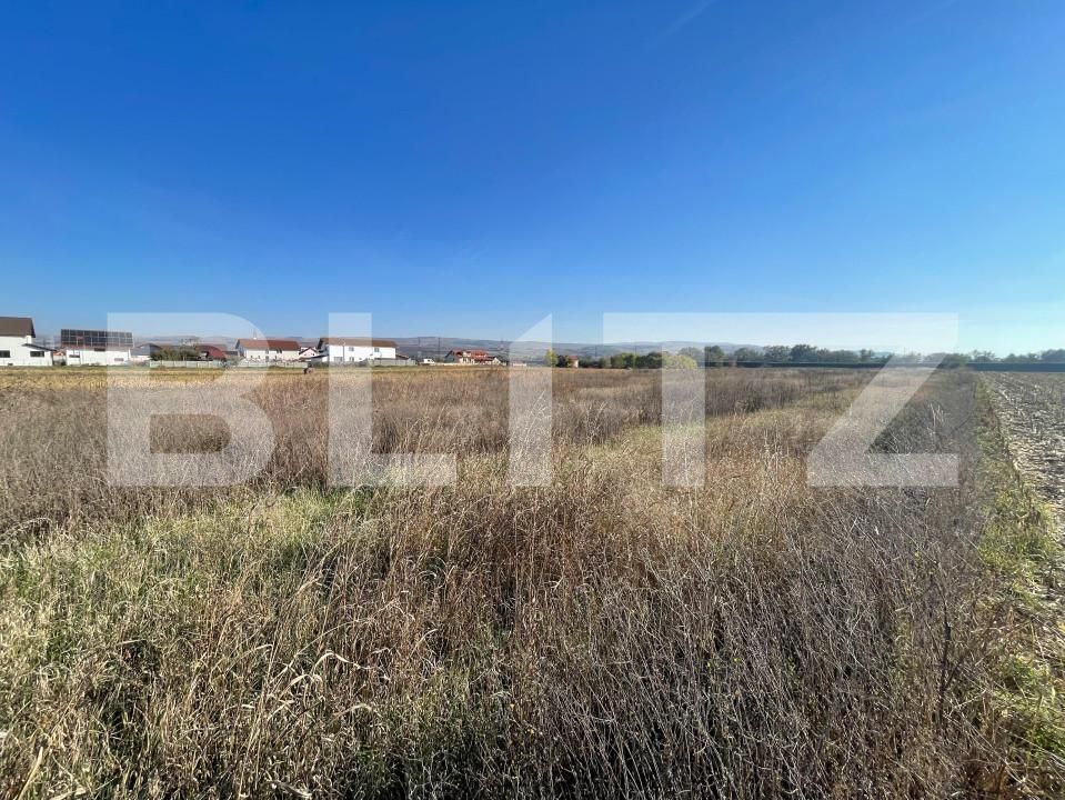 Teren de vânzare Partoș - 160563TV | BLITZ Alba Iulia | Poza3