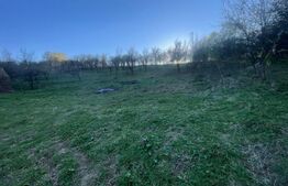 Teren Intravilan 1890mp  Oarda de Sus