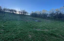 Teren Intravilan 1890mp  Oarda de Sus