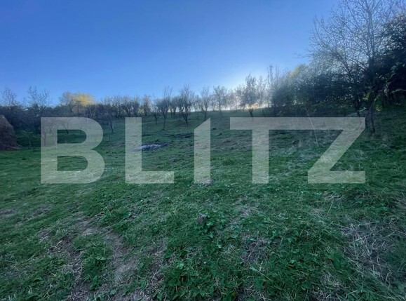 Teren de vânzare Oarda - 160677TV | BLITZ Alba Iulia | Poza1