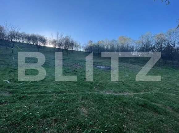 Teren de vânzare Oarda - 160677TV | BLITZ Alba Iulia | Poza2