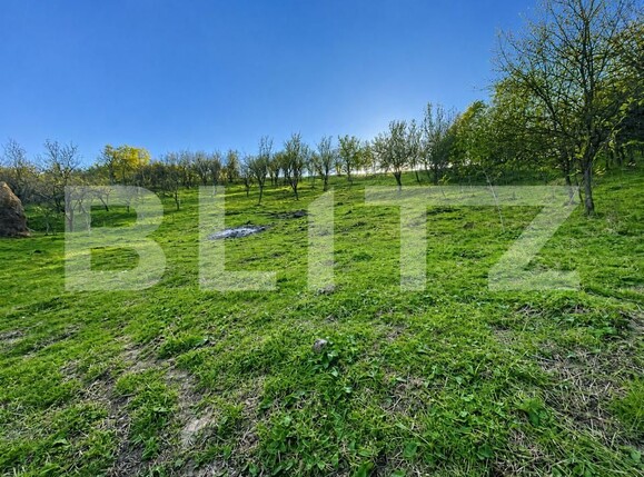 Teren de vânzare Oarda - 160677TV | BLITZ Alba Iulia | Poza1