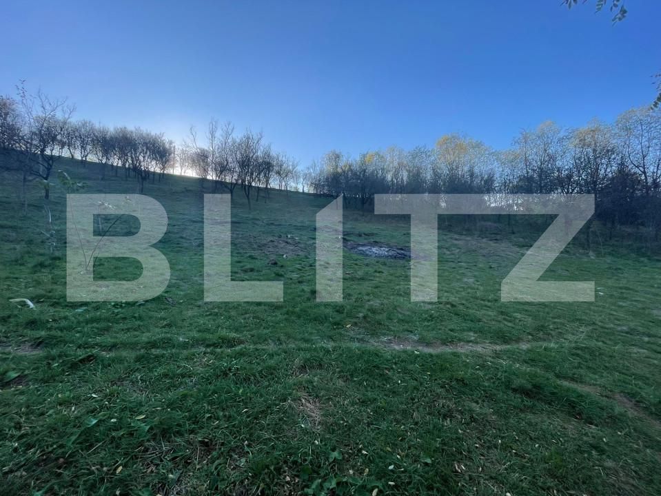 Teren de vânzare Oarda - 160677TV | BLITZ Alba Iulia | Poza2