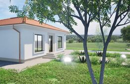 Casa individuala cu 4 camere in stil mediteranean,353 mp teren,Micesti