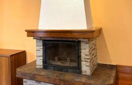 Casa Individuala, 240 mp utili ,912mp teren,Centru