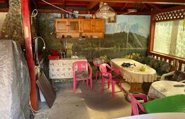 Casa Individuala, 240 mp utili ,912mp teren,Centru