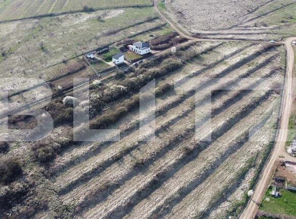 Teren de vânzare Cetate - 160824TV | BLITZ Alba Iulia | Poza5