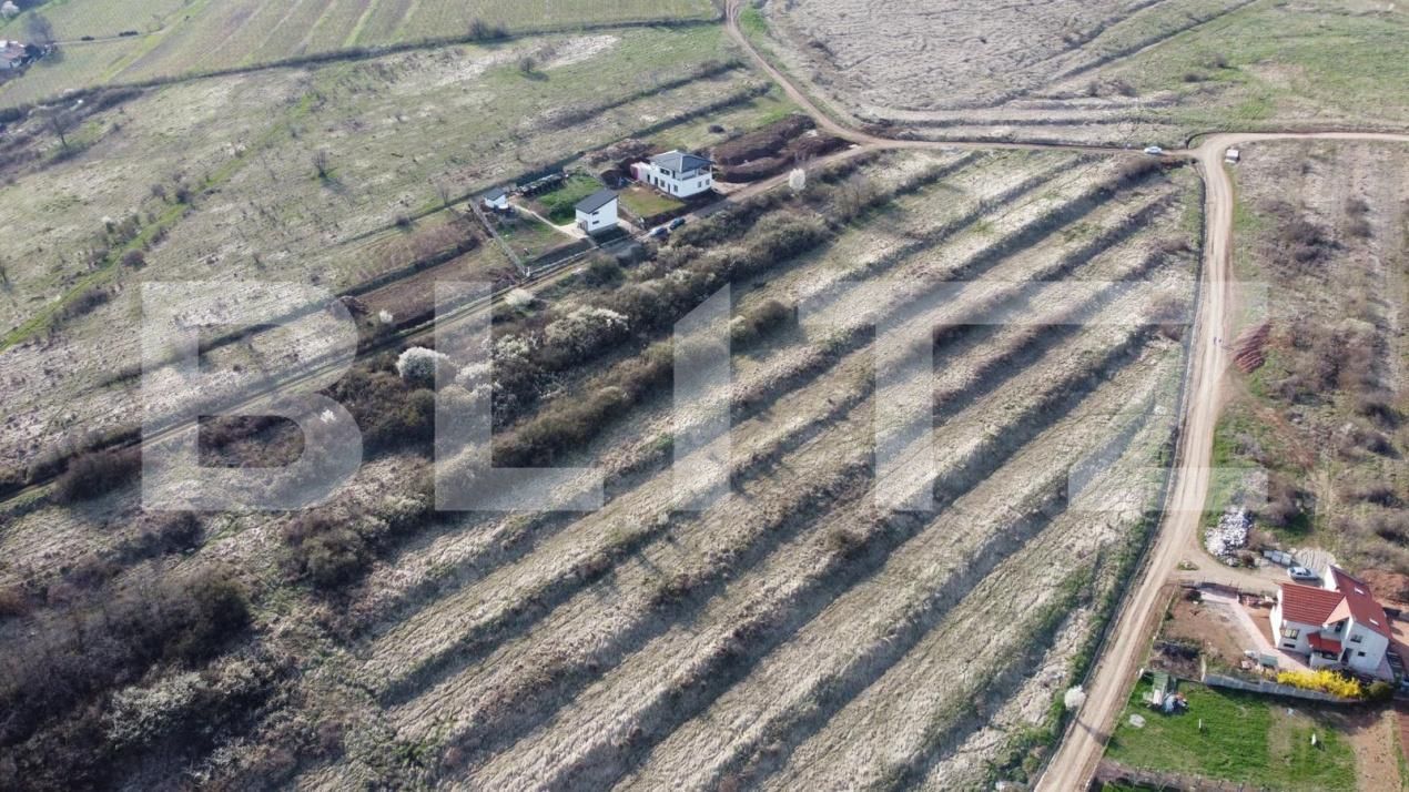 Teren de vânzare Cetate - 160824TV | BLITZ Alba Iulia | Poza5