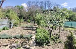 Casă solidă, locuibilă imediat – Blaj, jud. Alba | 3 camere | 120.000 €