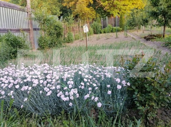 Casa de vânzare 3 camere Blaj - 160902CV | BLITZ Alba Iulia | Poza10